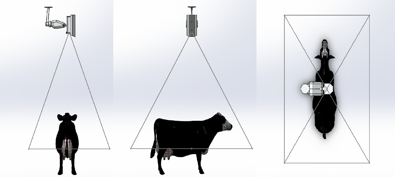 Hayalet Baskül Terazi